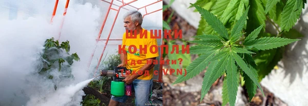 скорость Инсар