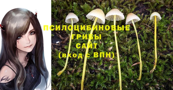 скорость Инсар